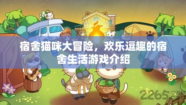 宿舍貓咪大冒險(xiǎn)，歡樂(lè)逗趣的宿舍生活游戲