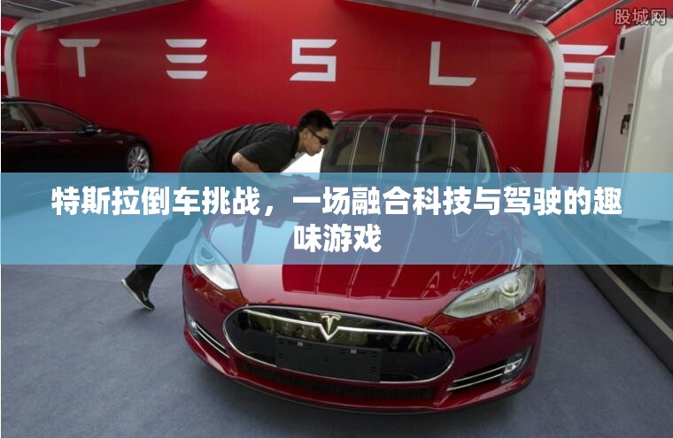 特斯拉倒車挑戰(zhàn)，科技與駕駛的趣味碰撞