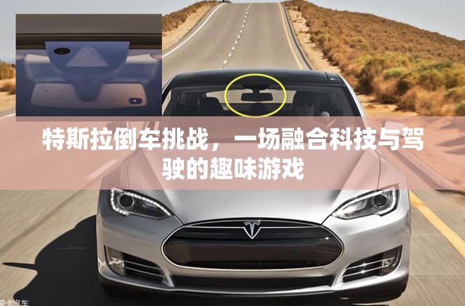 特斯拉倒車挑戰(zhàn)，科技與駕駛的趣味碰撞