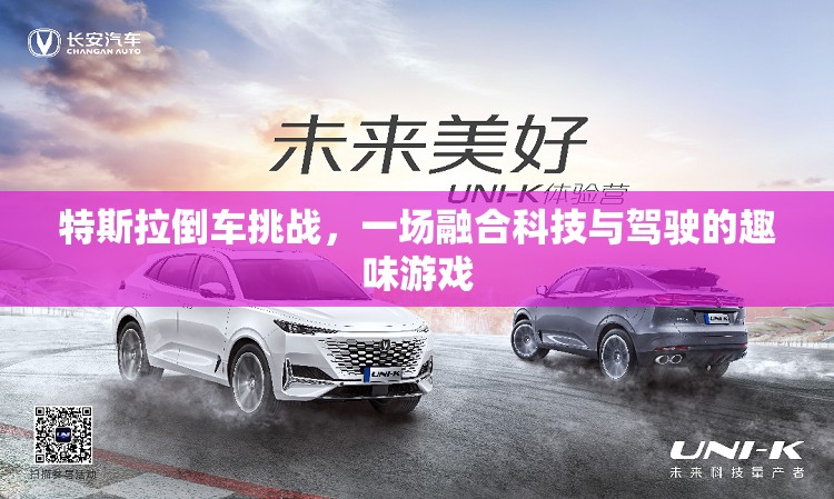 特斯拉倒車挑戰(zhàn)，科技與駕駛的趣味碰撞