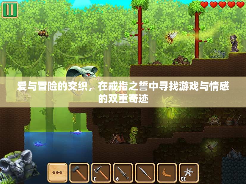 戒指之誓，愛(ài)與冒險(xiǎn)的雙重奇跡
