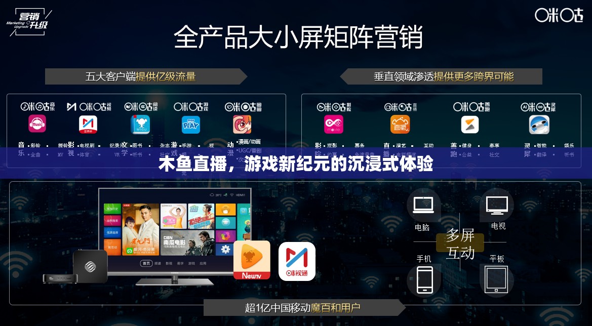 木魚(yú)直播，解鎖游戲新紀(jì)元，沉浸式體驗(yàn)引領(lǐng)未來(lái)