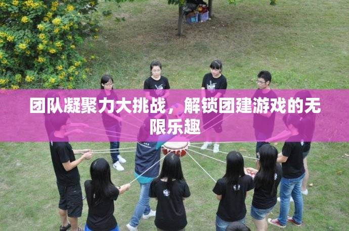 團隊凝聚力大挑戰(zhàn)，解鎖團建游戲的無限樂趣