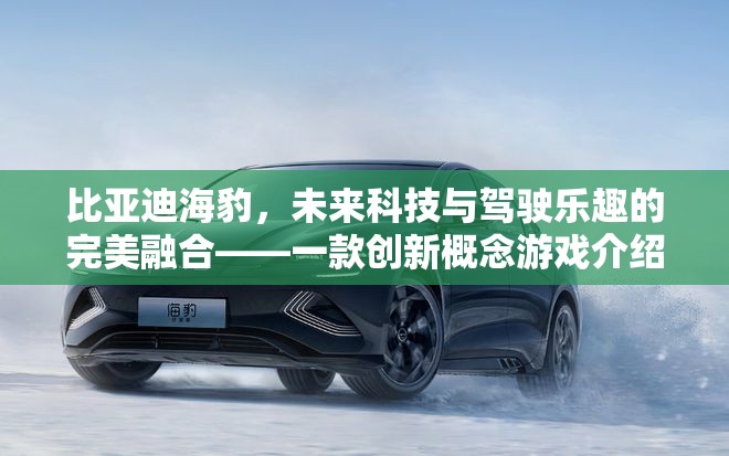 未來科技與駕駛樂趣的完美碰撞，比亞迪海豹創(chuàng)新概念游戲揭秘
