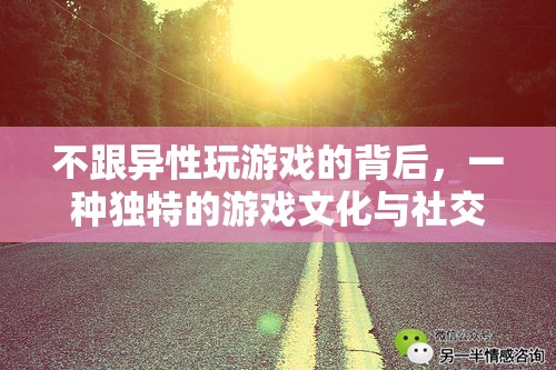 獨特的游戲文化與社交哲學，為何他們選擇不與異性共玩游戲