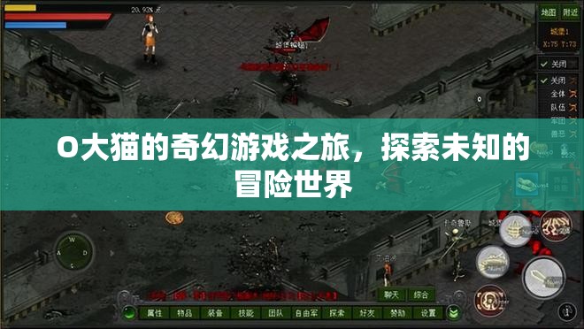 O大貓的奇幻游戲冒險，探索未知世界的奇妙旅程