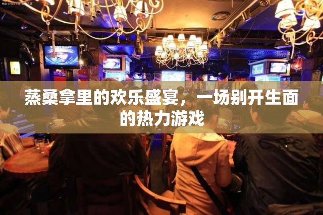 熱力盛宴，蒸桑拿中的別樣歡樂游戲
