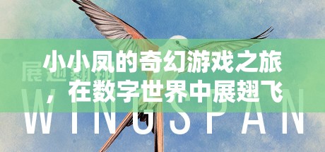 小小鳳的數(shù)字奇境，展翅飛翔的奇幻游戲之旅