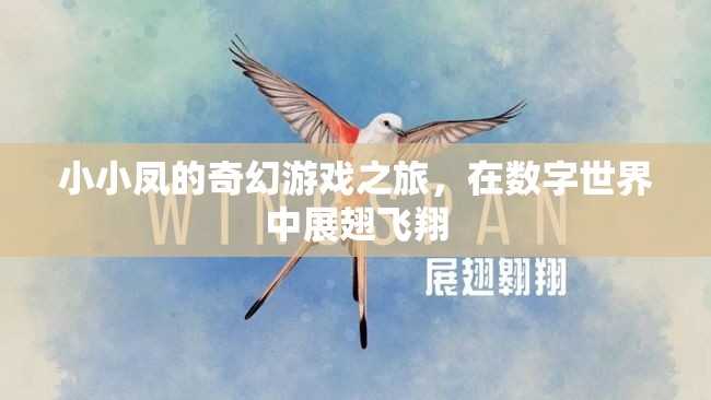 小小鳳的數(shù)字奇境，展翅飛翔的奇幻游戲之旅