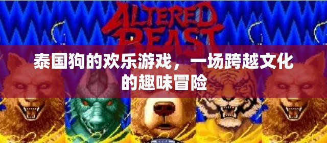 泰國狗的歡樂游戲，一場跨越文化的趣味冒險之旅  第2張