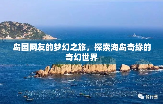 海島奇緣，島國網(wǎng)友的夢幻探險(xiǎn)之旅