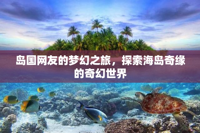 海島奇緣，島國網(wǎng)友的夢幻探險(xiǎn)之旅