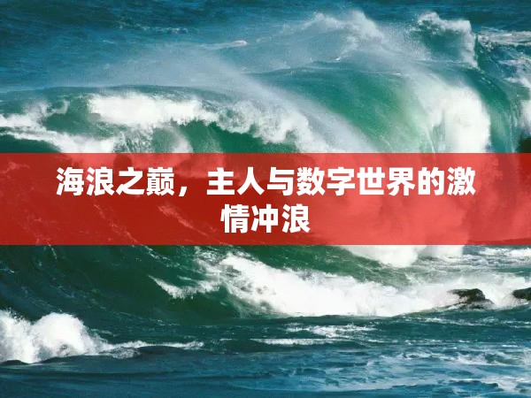 海浪之巔，數(shù)字世界的激情沖浪