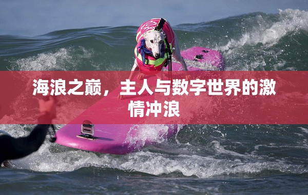 海浪之巔，數(shù)字世界的激情沖浪