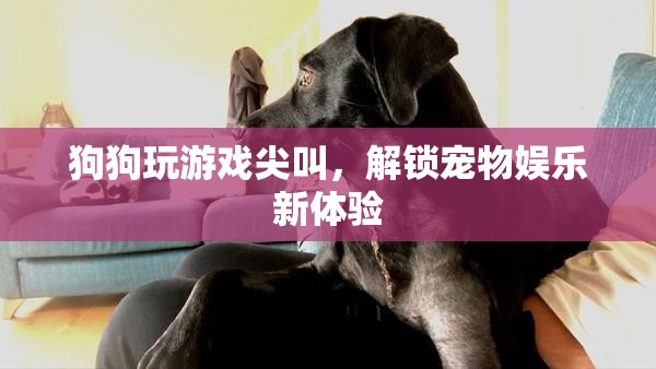 狗狗玩游戲尖叫解鎖寵物娛樂(lè)新體驗(yàn)