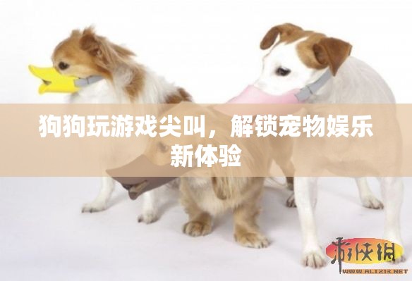狗狗玩游戲尖叫解鎖寵物娛樂(lè)新體驗(yàn)