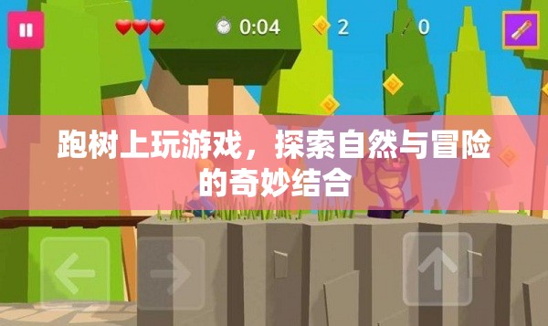 樹上探險，自然與冒險的奇妙結合