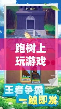 樹上探險，自然與冒險的奇妙結合