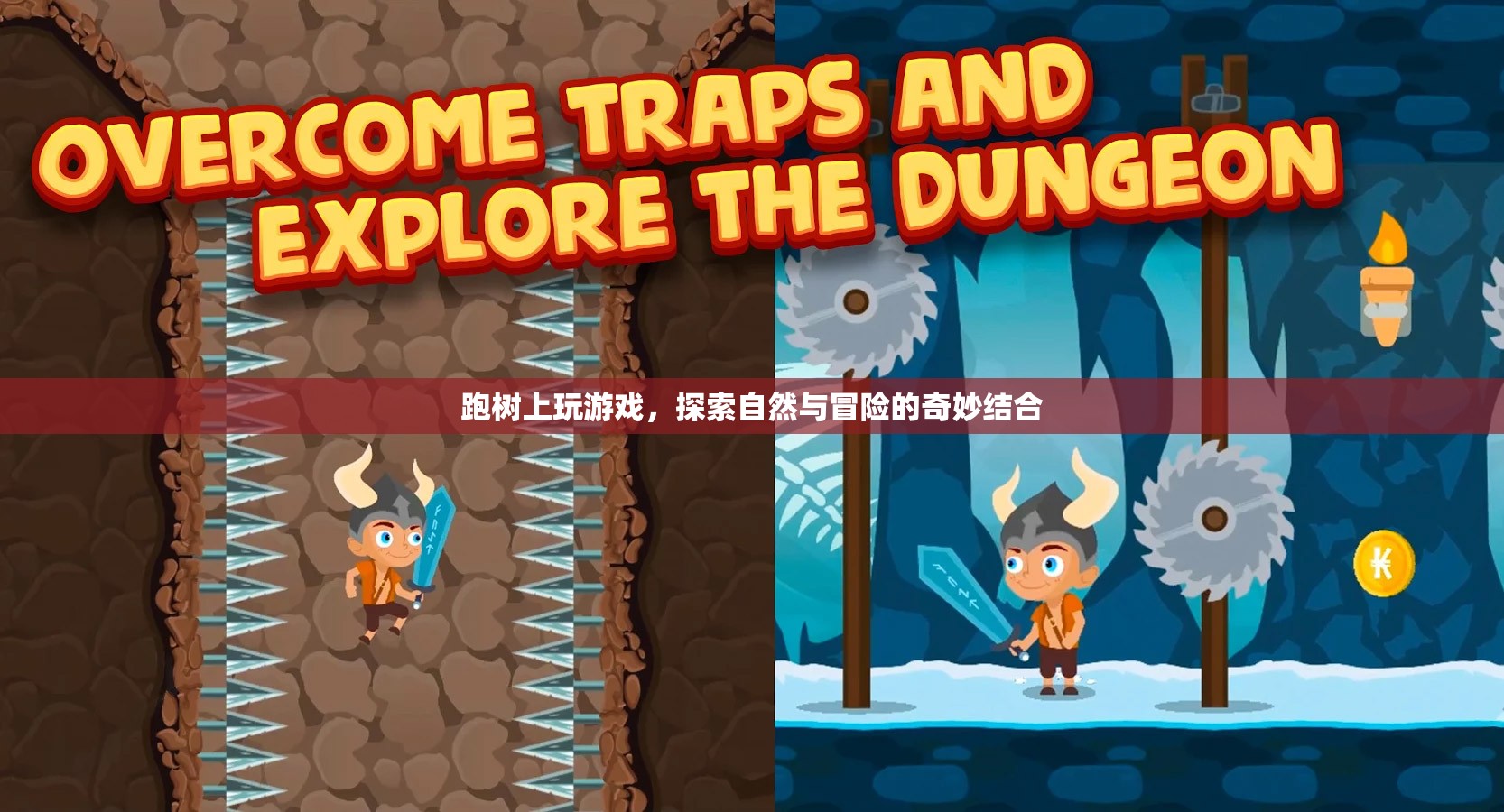 樹上探險，自然與冒險的奇妙結合