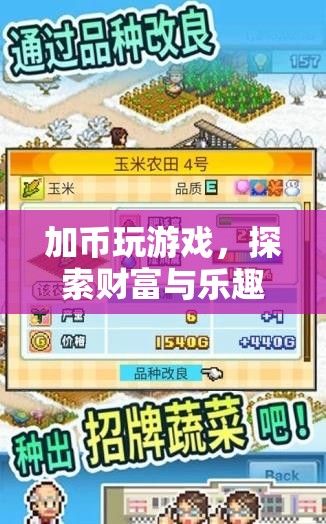 加幣游戲，財(cái)富與樂趣的奇妙融合之旅