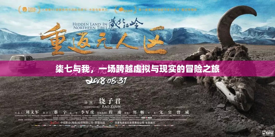 柒七與我，虛擬與現(xiàn)實(shí)的冒險(xiǎn)之旅
