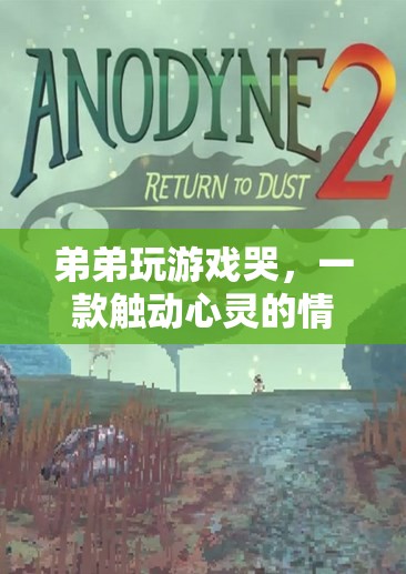 弟弟玩游戲哭，一場情感冒險的觸動之旅