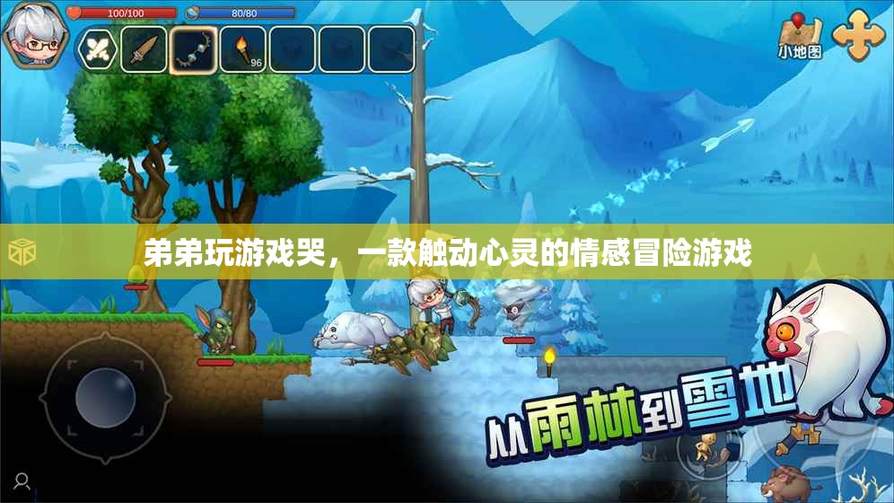 弟弟玩游戲哭，一場情感冒險的觸動之旅