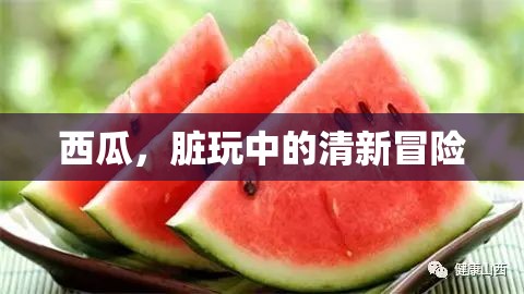 西瓜，夏日里的清新冒險(xiǎn)