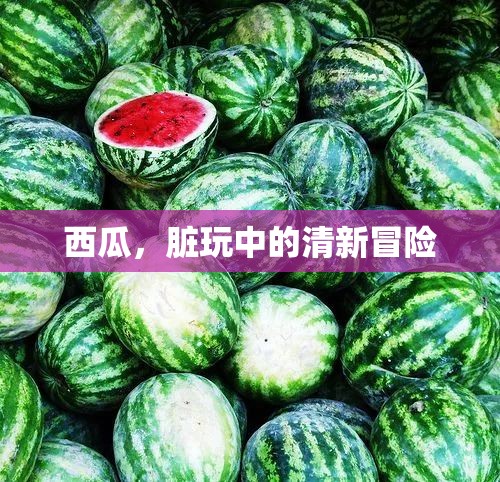 西瓜，夏日里的清新冒險(xiǎn)