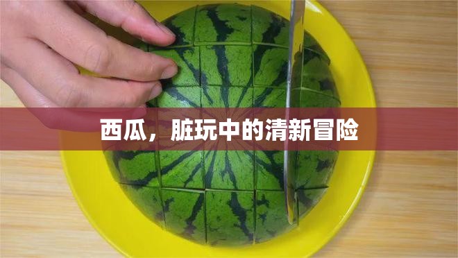 西瓜，夏日里的清新冒險(xiǎn)