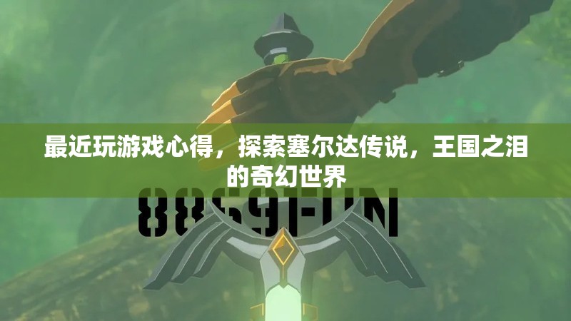探索塞爾達(dá)傳說，王國(guó)之淚的奇幻世界