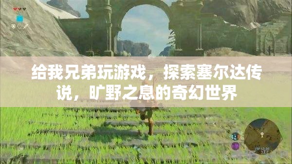 探索塞爾達(dá)傳說(shuō)，曠野之息的奇幻世界之旅
