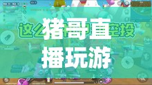 豬哥直播，游戲娛樂與互動并重的盛宴