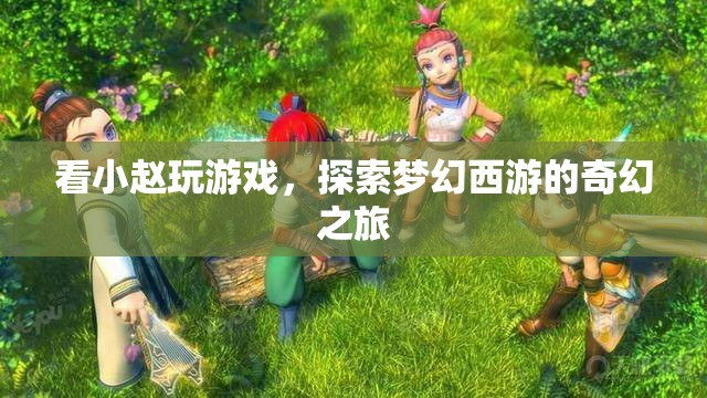 小趙帶你探索夢幻西游的奇幻之旅