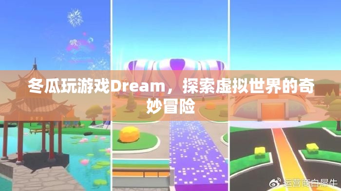 冬瓜探索Dream虛擬世界，奇妙冒險之旅