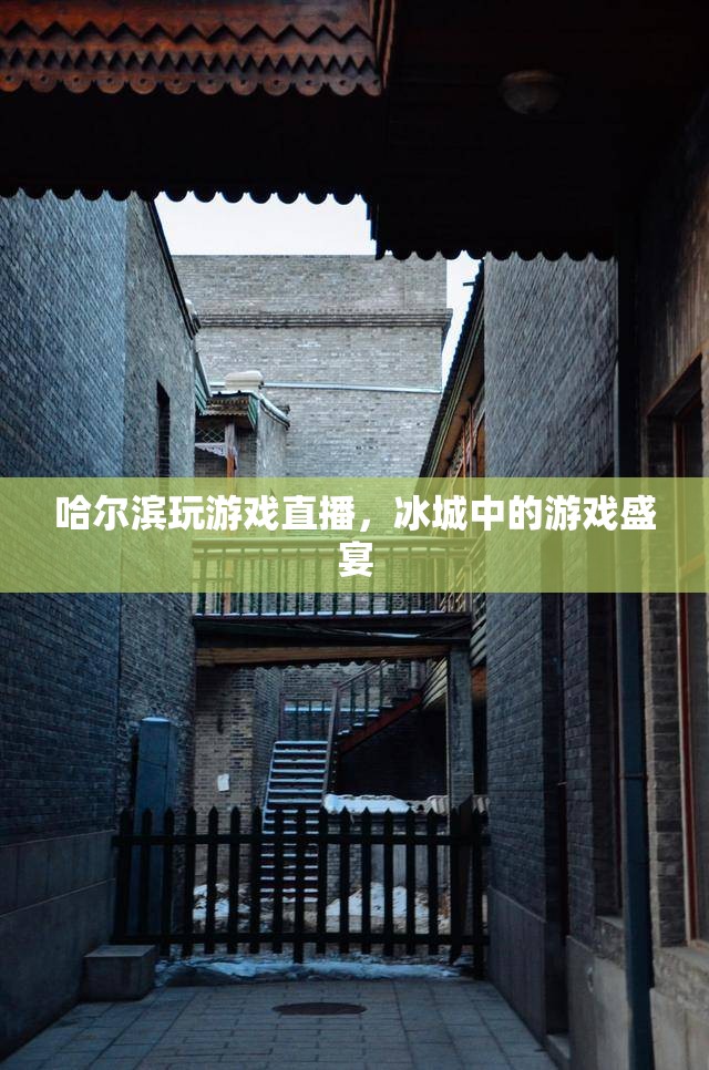 冰城游戲盛宴，哈爾濱玩游戲直播