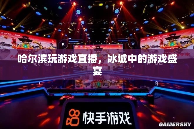 冰城游戲盛宴，哈爾濱玩游戲直播