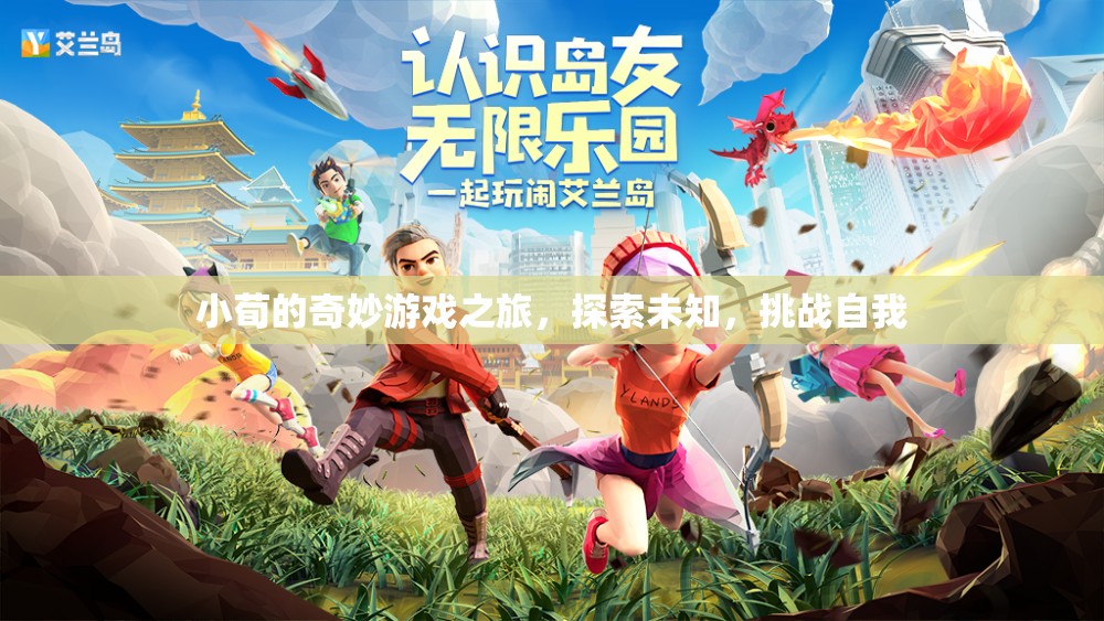 小荀的奇妙冒險(xiǎn)，探索未知，挑戰(zhàn)自我之旅