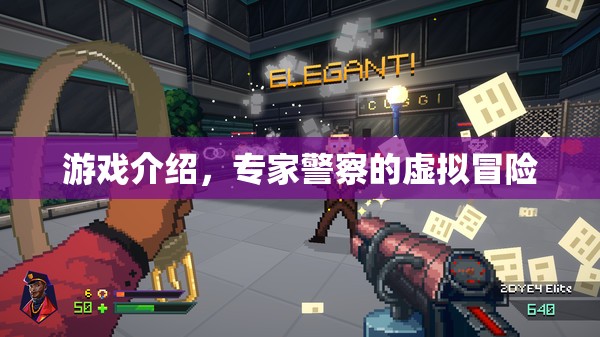 專家警察的虛擬冒險，游戲介紹