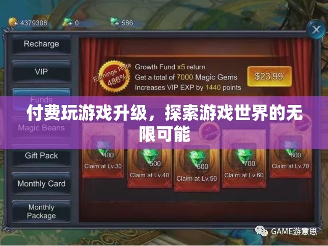 付費(fèi)解鎖游戲新境界，探索無限可能