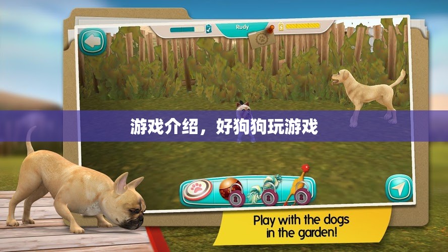 好狗狗玩游戲，趣味橫生的寵物游戲介紹