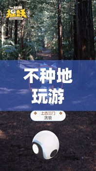 探索虛擬世界的無限可能，不種地也能玩游戲