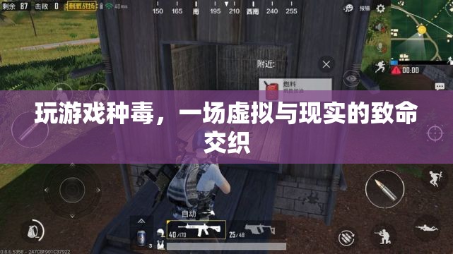 游戲中毒，虛擬與現(xiàn)實(shí)交織的致命風(fēng)險(xiǎn)