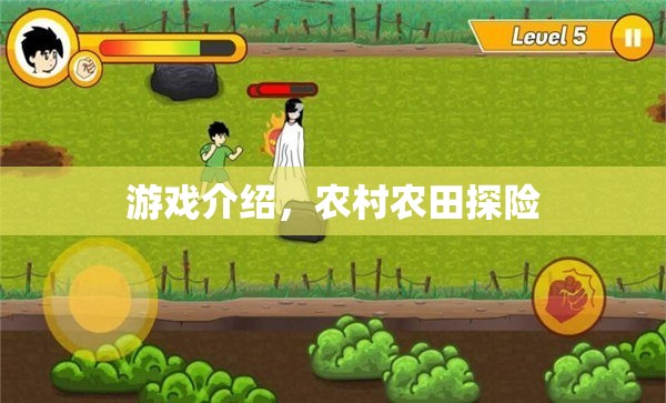 農(nóng)村農(nóng)田探險(xiǎn)，探索自然，收獲驚喜！