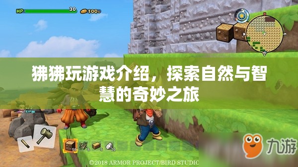 狒狒的智慧之旅，探索自然與游戲的奇妙結(jié)合