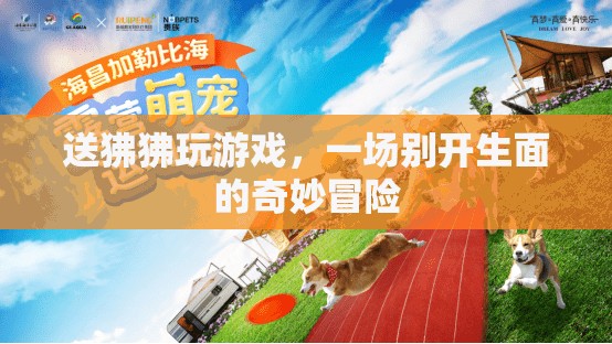 狒狒游戲，一場(chǎng)別開(kāi)生面的奇妙冒險(xiǎn)