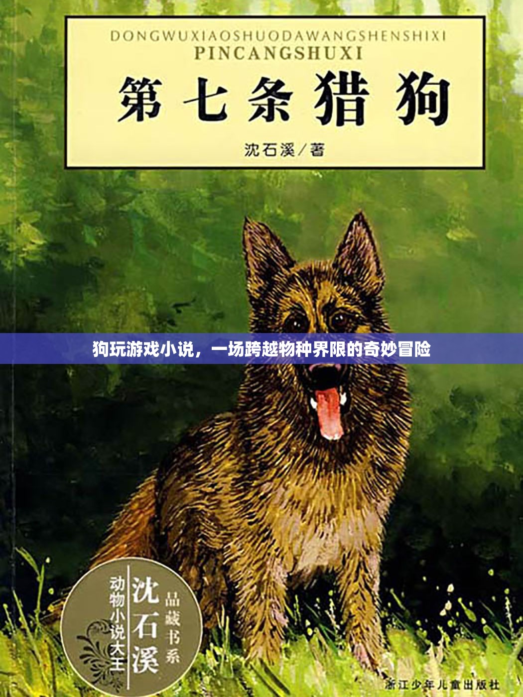 狗玩游戲，跨越物種界限的奇妙冒險(xiǎn)