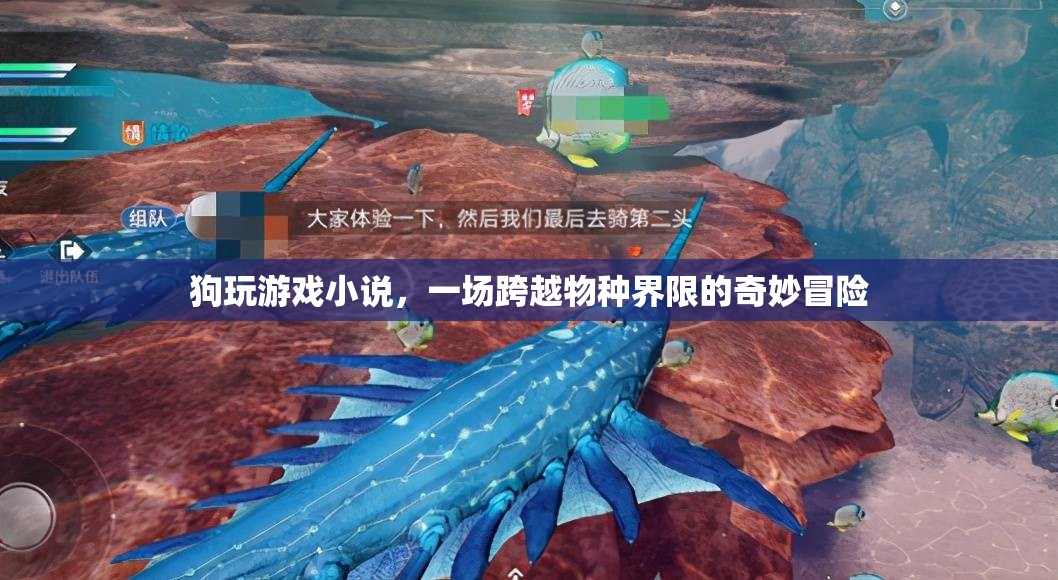 狗玩游戲，跨越物種界限的奇妙冒險(xiǎn)