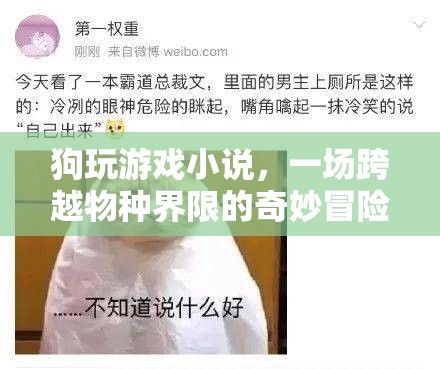 狗玩游戲，跨越物種界限的奇妙冒險(xiǎn)