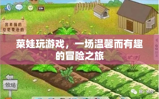 菜娃的溫馨有趣冒險之旅